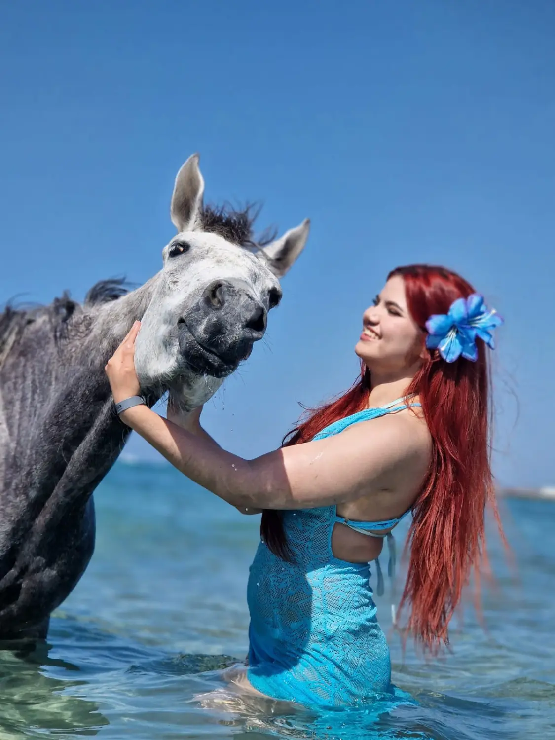 Cavalluna stable Hurghada