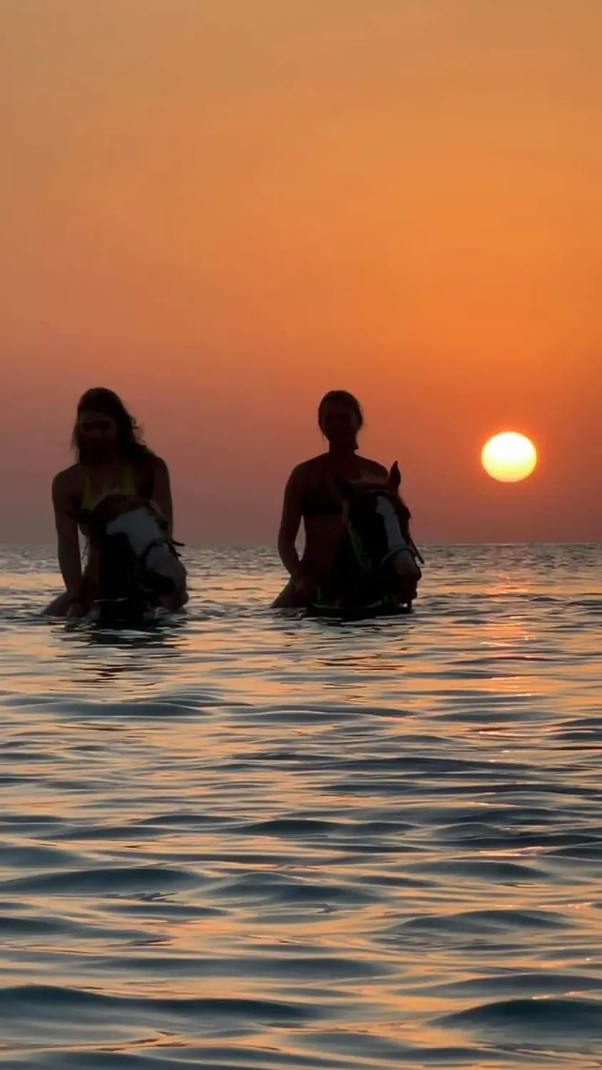 Cavalluna stable Hurghada