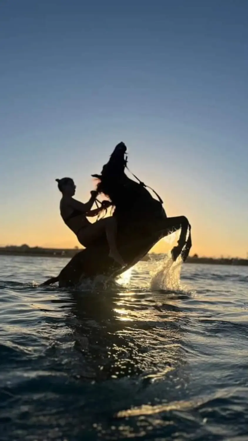 Cavalluna stable Hurghada