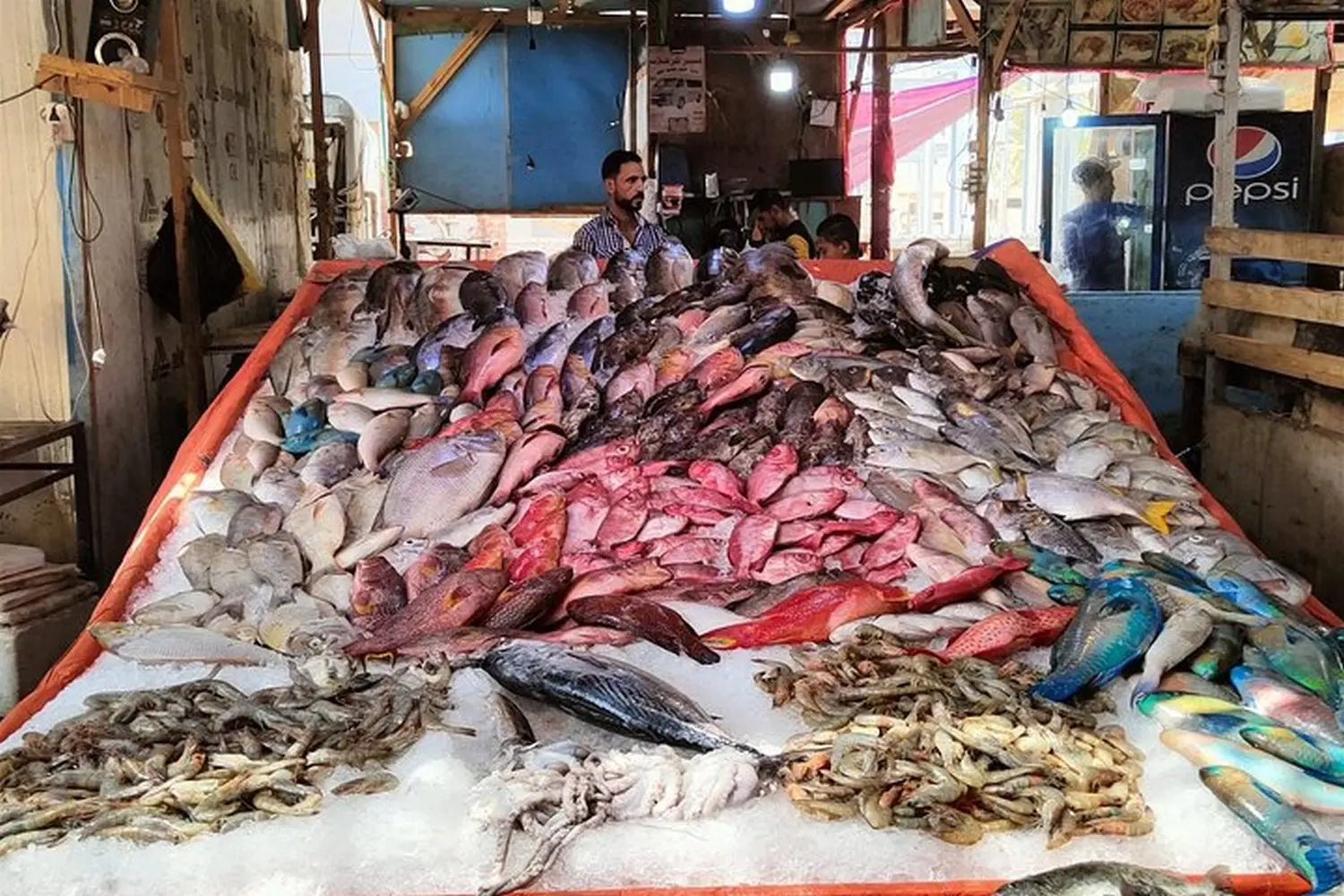 Fischladen von Cavalluna Stable Hurghada