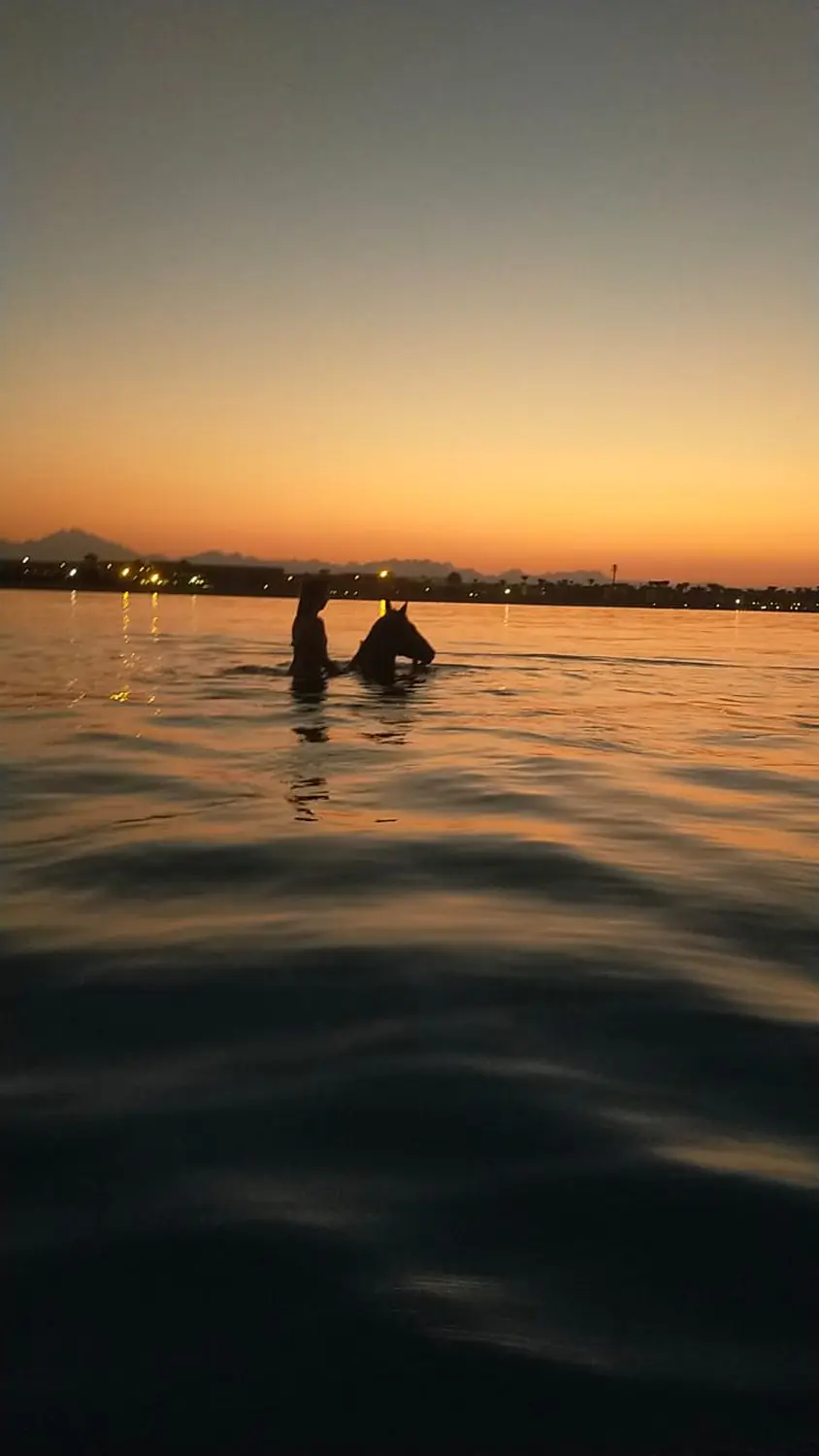 Reiten von Cavalluna Stable Hurghada
