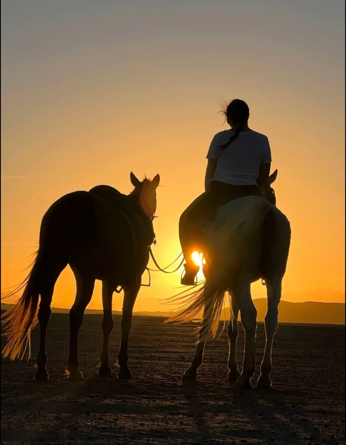 Reiten von Cavalluna Stable Hurghada