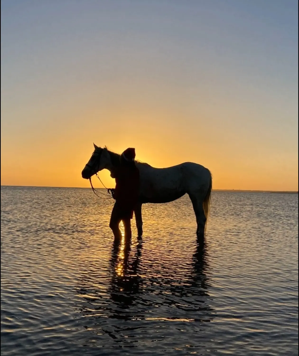 Reiten von Cavalluna Stable Hurghada