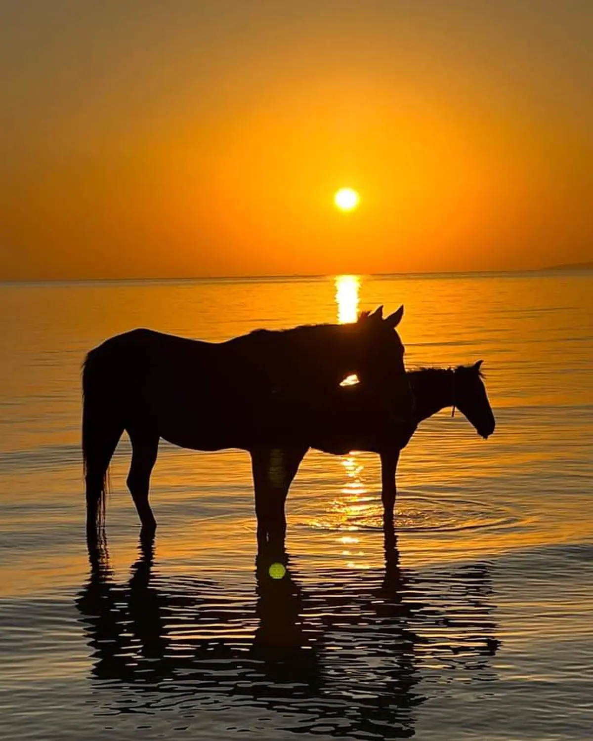 Reiten von Cavalluna Stable Hurghada