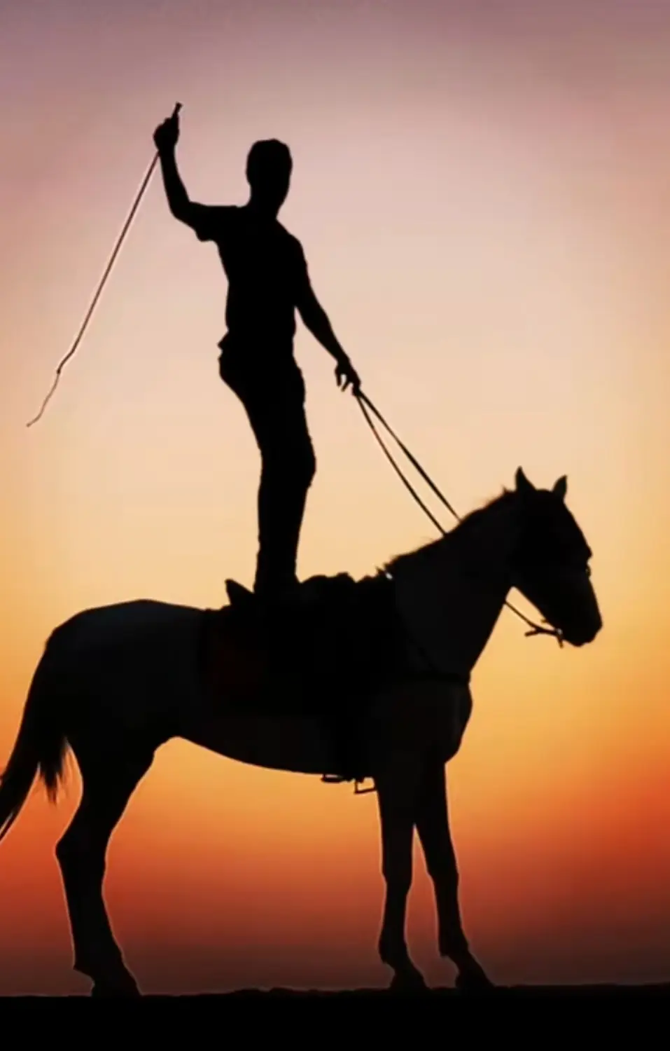 Reitende Menschen von Cavalluna Stable Hurghada