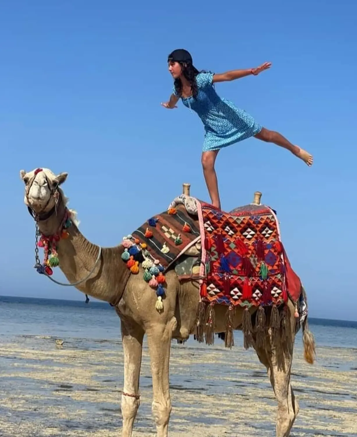 Kamelreiten von Cavalluna Stable Hurghada