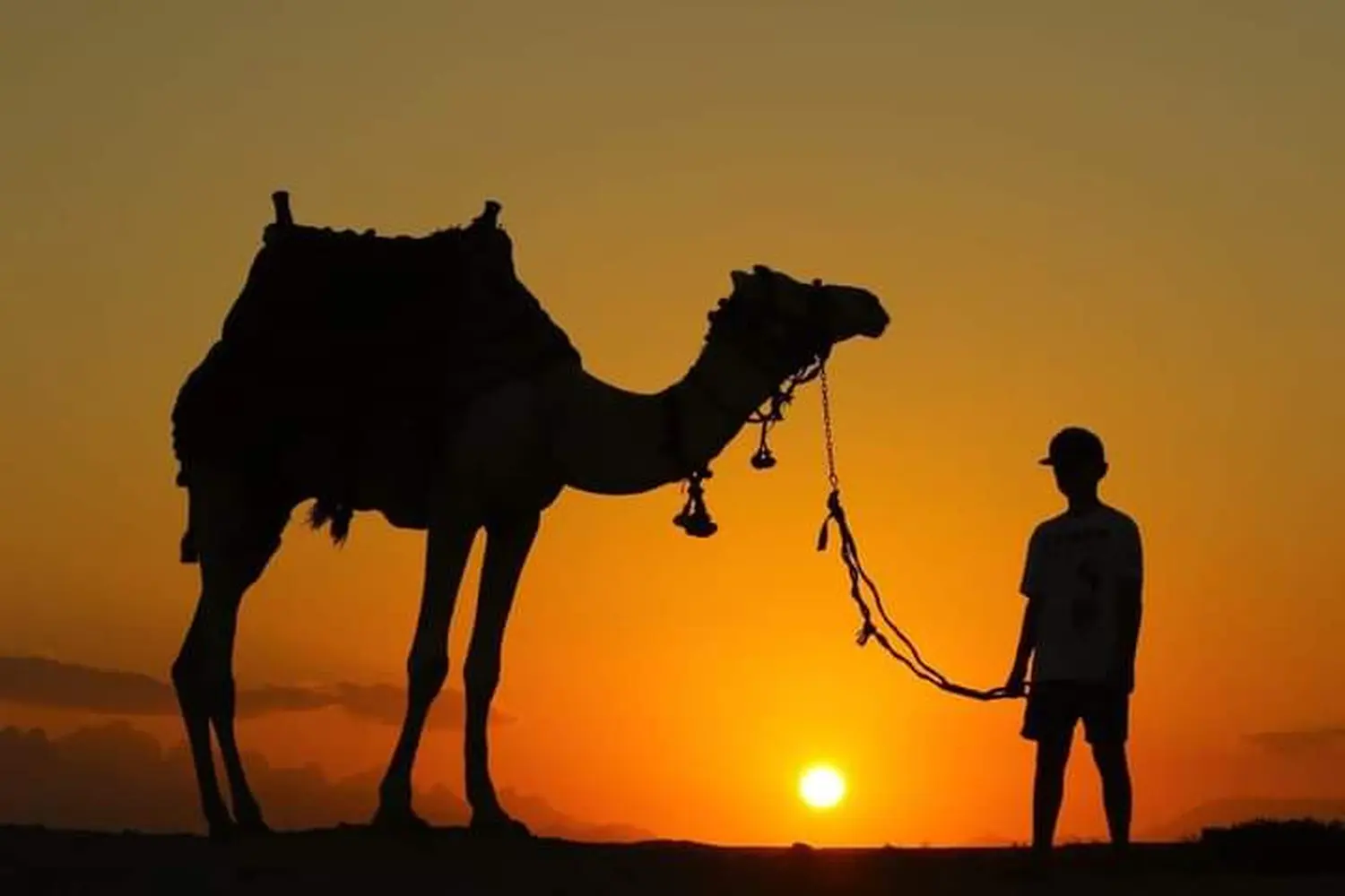 Kamelreiten von Cavalluna Stable Hurghada