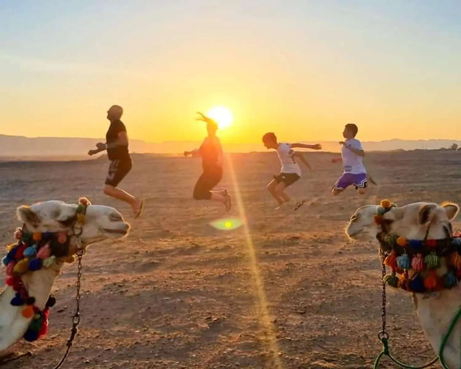 Kamelreiten von Cavalluna Stable Hurghada