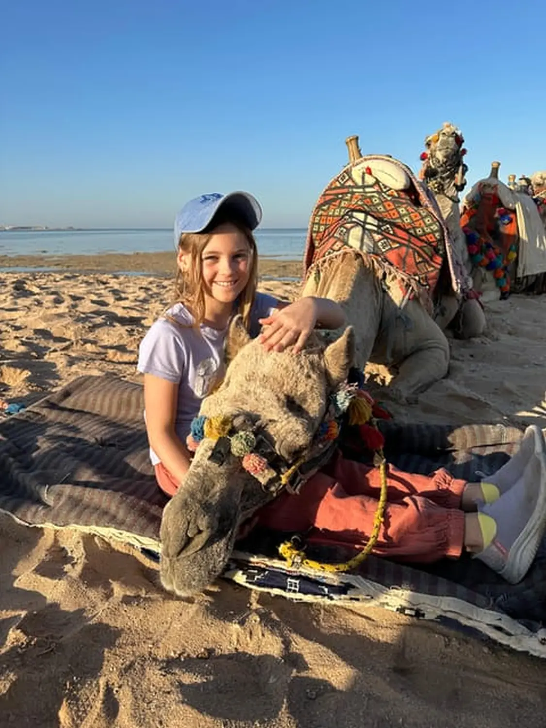 Kamelreiten von Cavalluna Stable Hurghada