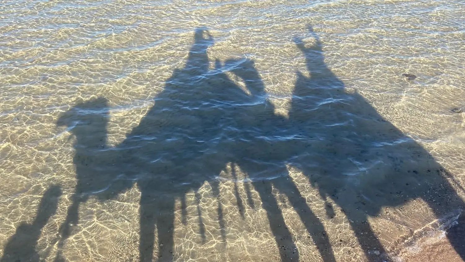 Kamelreiten von Cavalluna Stable Hurghada