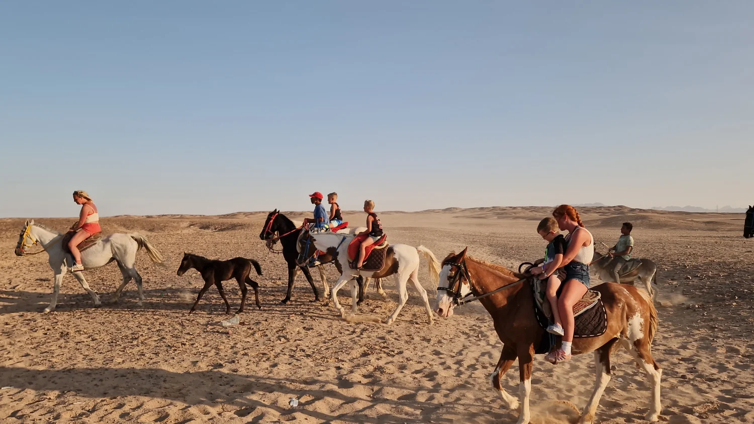Wüstensafari