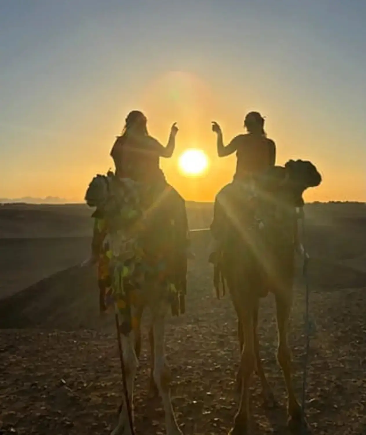 Kamelreiten von Cavalluna Stable Hurghada