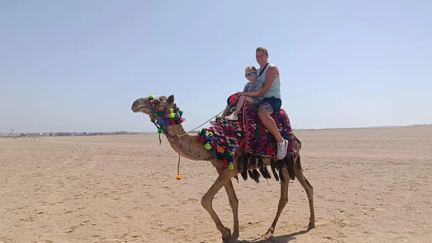 Kamelreiten von Cavalluna Stable Hurghada