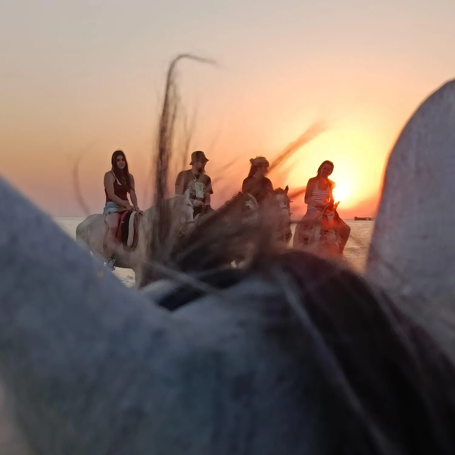 Reitende Menschen von Cavalluna Stable Hurghada