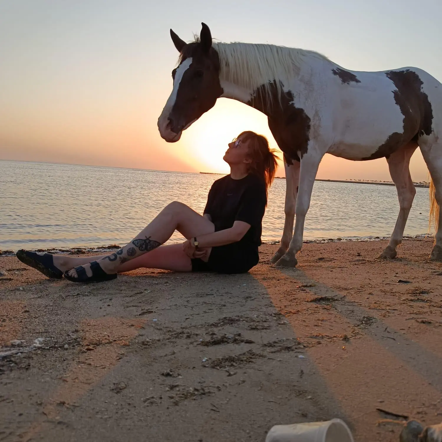 Reitende Menschen von Cavalluna Stable Hurghada