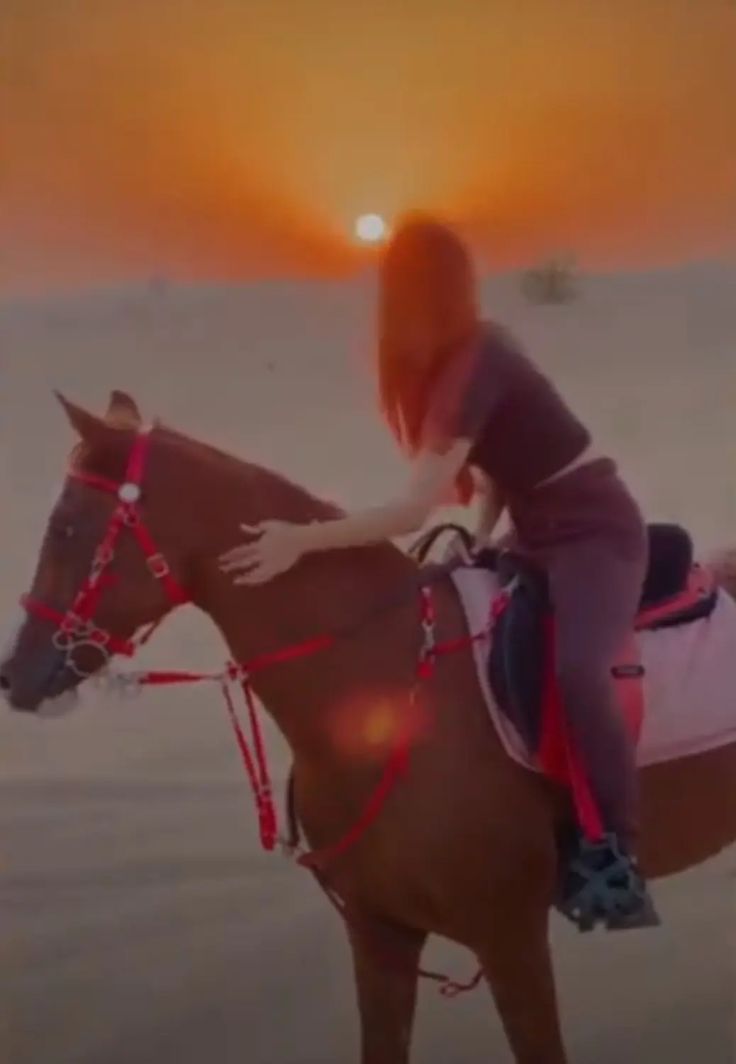 Private Touren in Hurghada