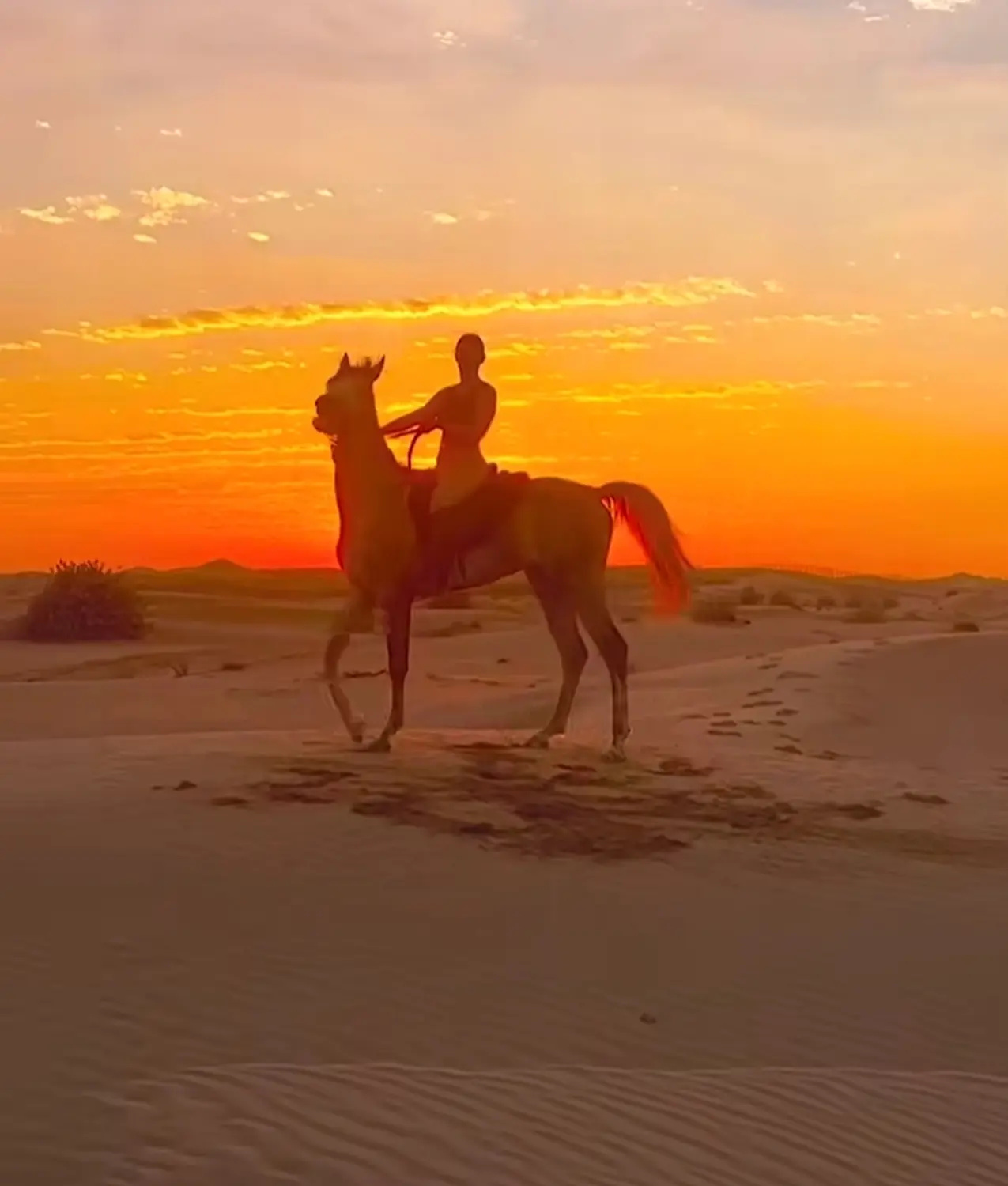 Hurghada Schnorchelausflüge