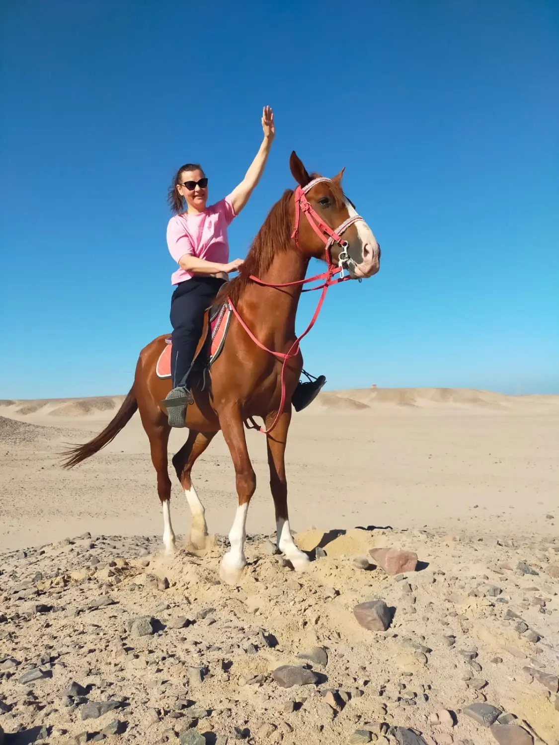 Hurghada Schnorchelausflüge